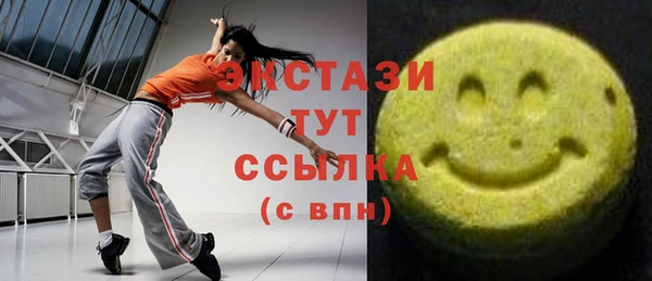 СК Алексин