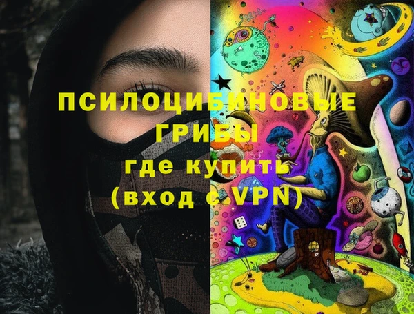 дурь Алзамай