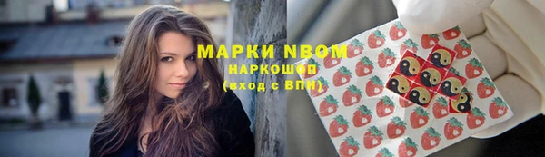гидра Алексеевка