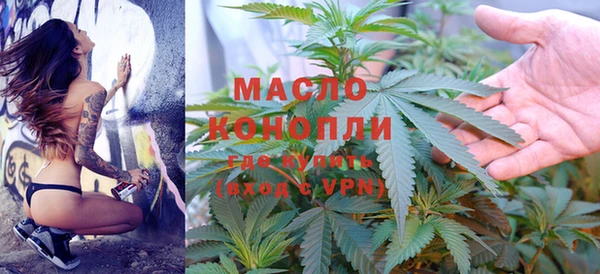 СК Алексин