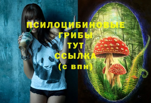 СК Алексин