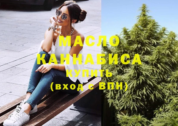 СК Алексин