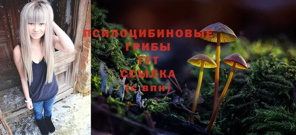 дурь Алзамай