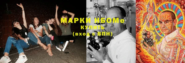 СК Алексин