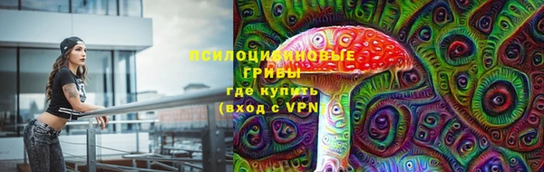 дурь Алзамай