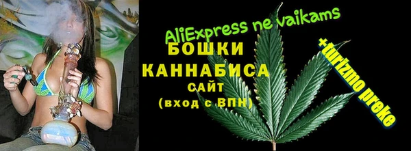 гидра Алексеевка