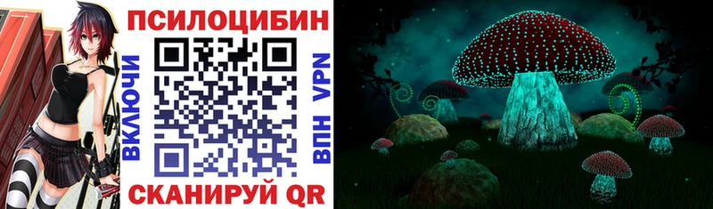 Галлюциногенные грибы MAGIC MUSHROOMS  блэк спрут онион  Кремёнки  купить  сайты 